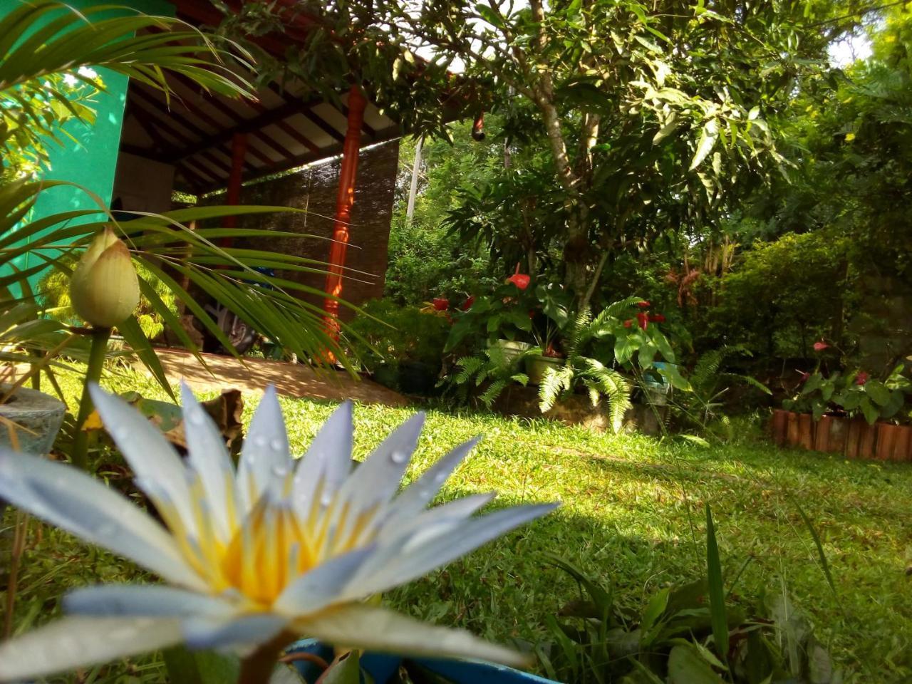 Nethmi Homestay & Restaurant تانجالي المظهر الخارجي الصورة