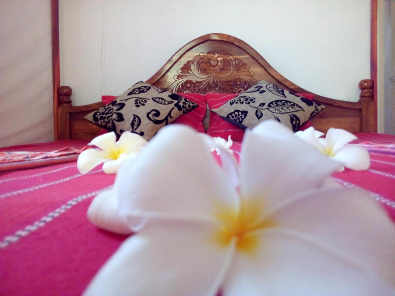 Nethmi Homestay & Restaurant تانجالي المظهر الخارجي الصورة